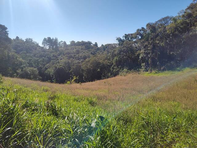 Pasto