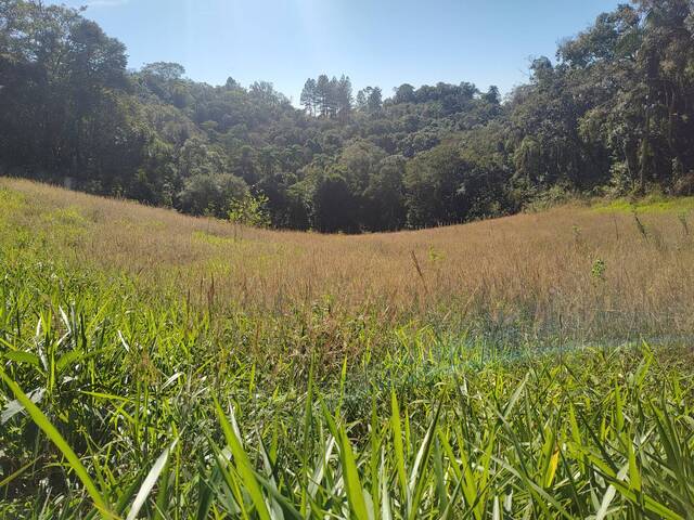 Pasto