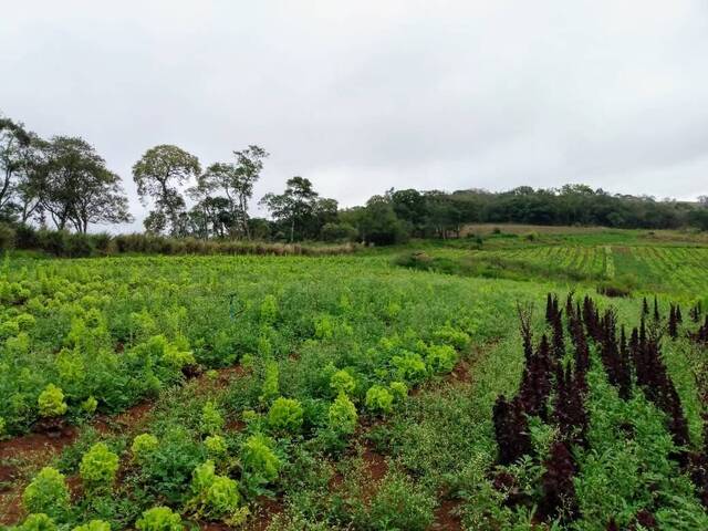 #12 - Sítio para Venda em Ibiúna - SP