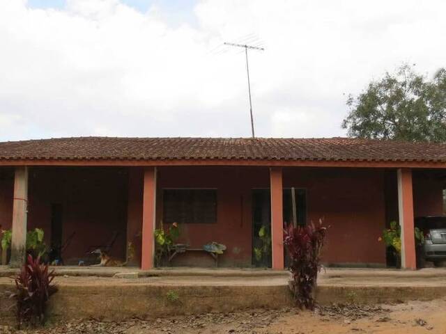  para  em  - 2
